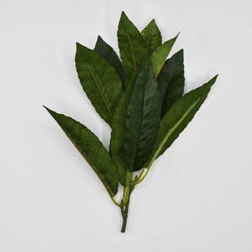 Bay Leaf Green 12cm
