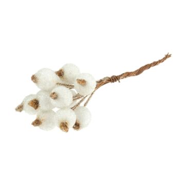 Occasions Frosted Snowberries White 11cm x 1.5cm x 12pcs