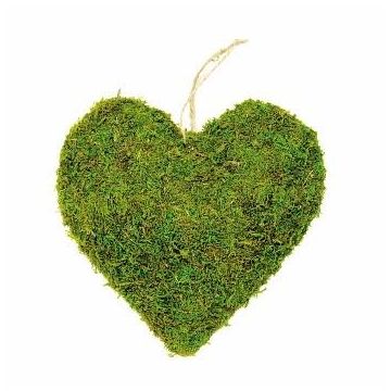 Moss Floristry Heart Green 