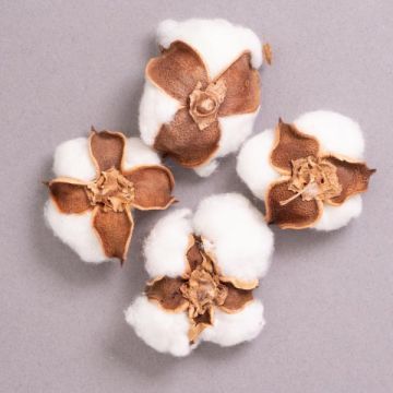 Cotton Ball Pods White 4pcs