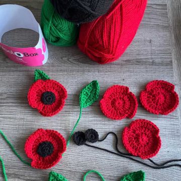 Simple Poppy Pattern FREE Download Designed by Sue Rawlinson