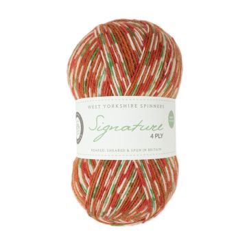 West Yorkshire Spinners Signature 4 Ply Christmas Gingerbread 1109 100g